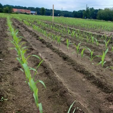 Aanbod voor landbouwers