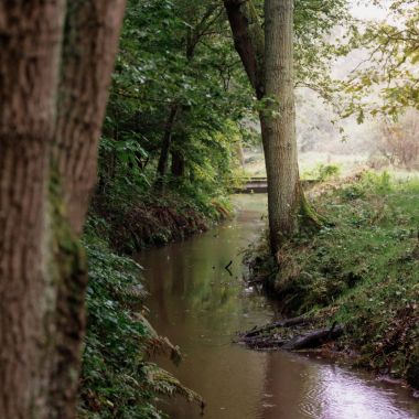 Scherpenbergloop en Kwachtloop