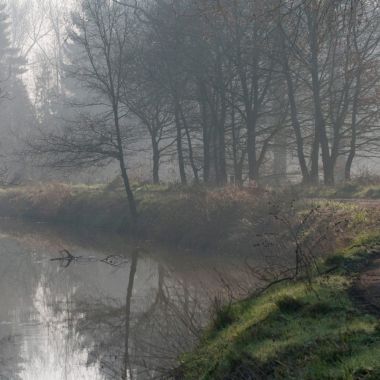 het Malesbroek in het Grote Netewoud