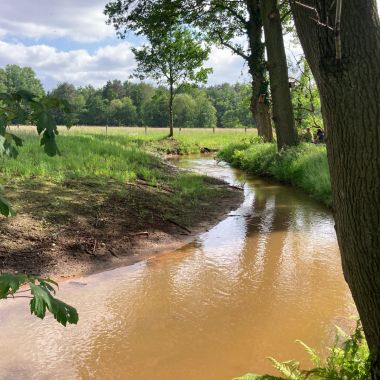 Herwaarderen van de Kaartse Beek in Brasschaat en Kapellen