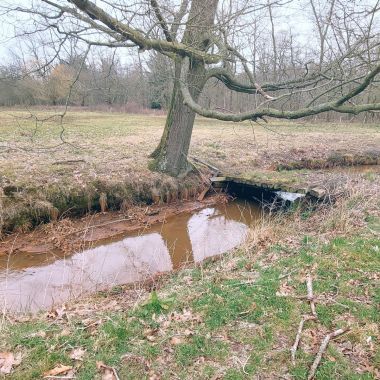 Natuurherstel Scherpenbergloop en Kwachtloop