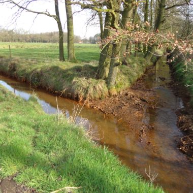 Aanleggen overstromingsgebied 'Kwikaard' in Schilde