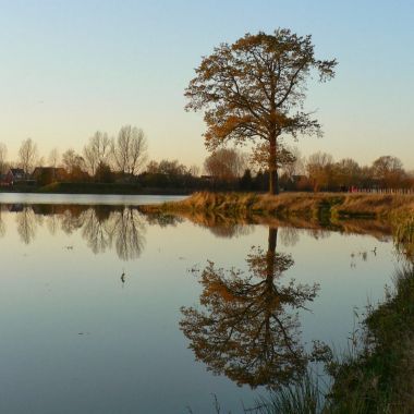 Provinciaal overstromingsgebied Jutse Plassen