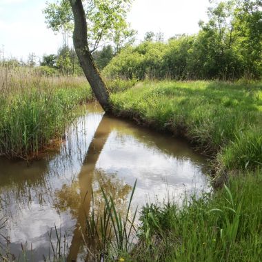 Provinciaal overstromingsgebied Molderbroek