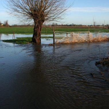 Provinciaal overstromingsgebied De Raafkens