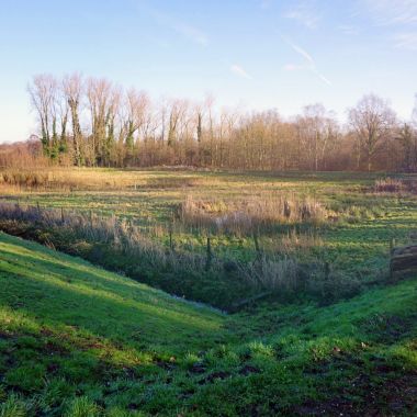 Provinciaal overstromingsgebied Mosterdpot-Fermerijbeemden