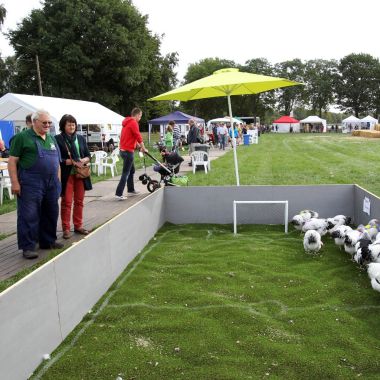 Op Prominant is de wei vlot toegankelijk voor kinderwagens of rolstoelen.