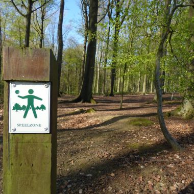 Speelbossen aan de Laarse Beek