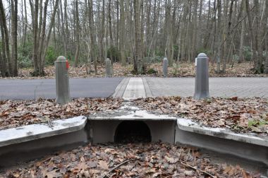 Amfibieëntunnel aan Miksebaan te Brasschaat