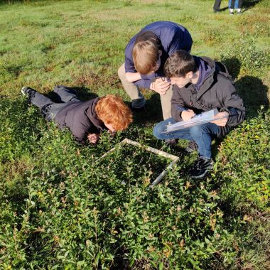 Biodiversiteit onder druk