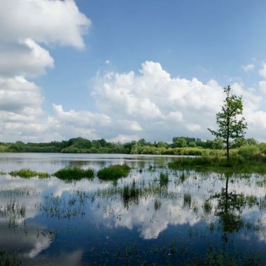 foto cover inzOOmen op samenwerking 2018