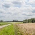 Melkkuip en bos Moretus (Boechout)