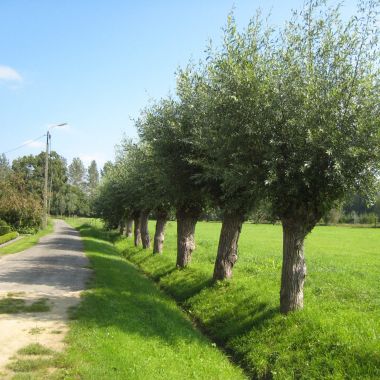 Vrijzinnige gemeenschap