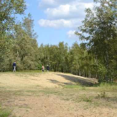 Wandelaars in het huidige gebied