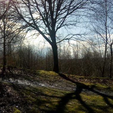 Groengebied Terhagen Boom: wandelknooppunt 159