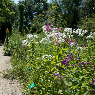 Planten en dieren