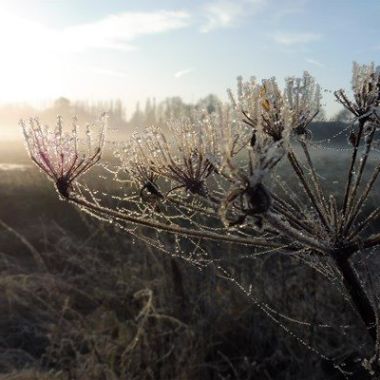 Nieuws Kesselse Heide