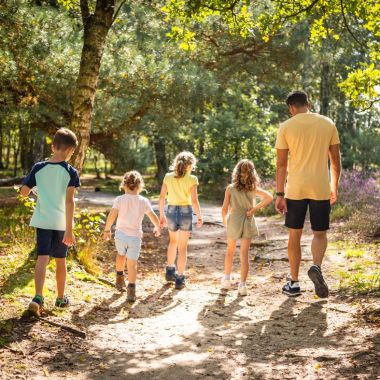 Wandelen en lopen op de Kesselse Heide