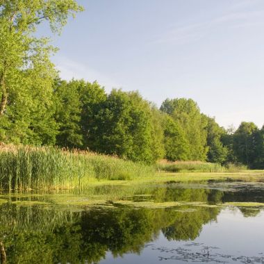 vijver in het Prinsenpark