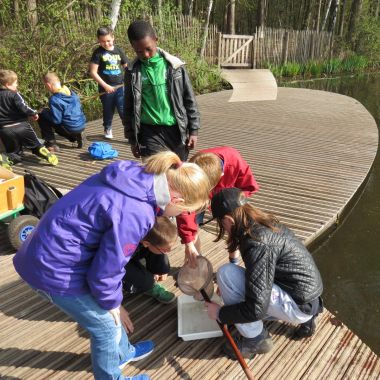 Met de klas naar het Prinsenpark