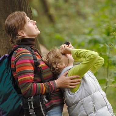 Zelf een activiteit organiseren, een zaal huren of een begeleide wandeling met de boswachter aanvragen