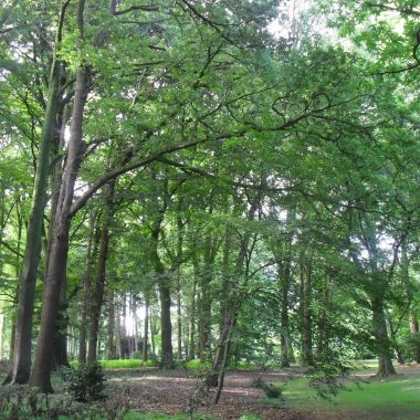 Arboretum Rivierenhof