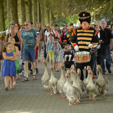 Kunst en cultuur in het Rivierenhof