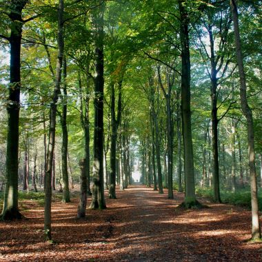 Wandelingen op aanvraag