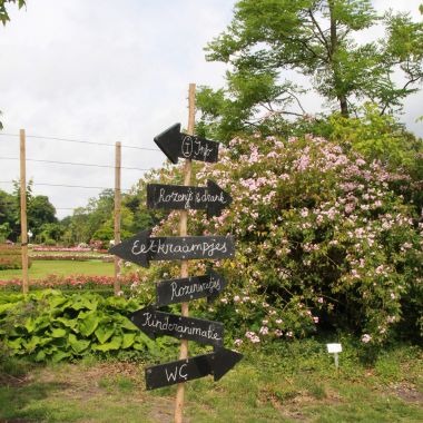 Veelgestelde vragen