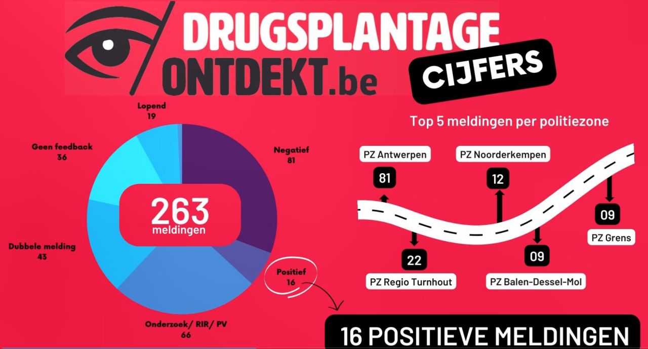 infographic meldpunt 1 jaar