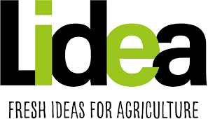 Lidea Logo