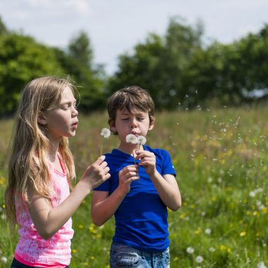 Natuur en gezondheid