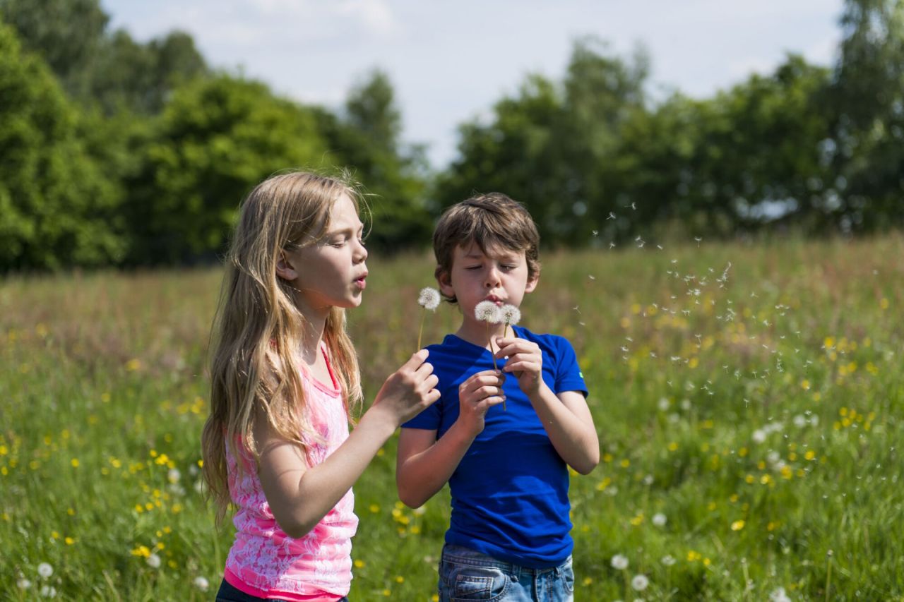 Natuur en gezondheid