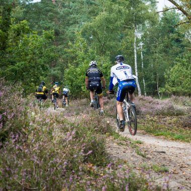 Ook de landduinenroute die je met de mountainbike aflegt loopt door de opengestelde bossen. 