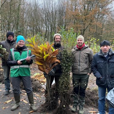 Bosrandenactie Antwerpse bosgroepen