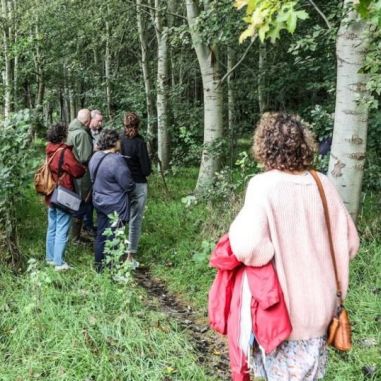 Een zestal mensen (vanop de rug gezien) wandelt tussen bomen en hoog opschietende planten.