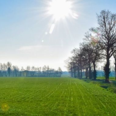 Een groen veld onder een stralend blauwe lentehemel, omzoomd door nog kale bomen..