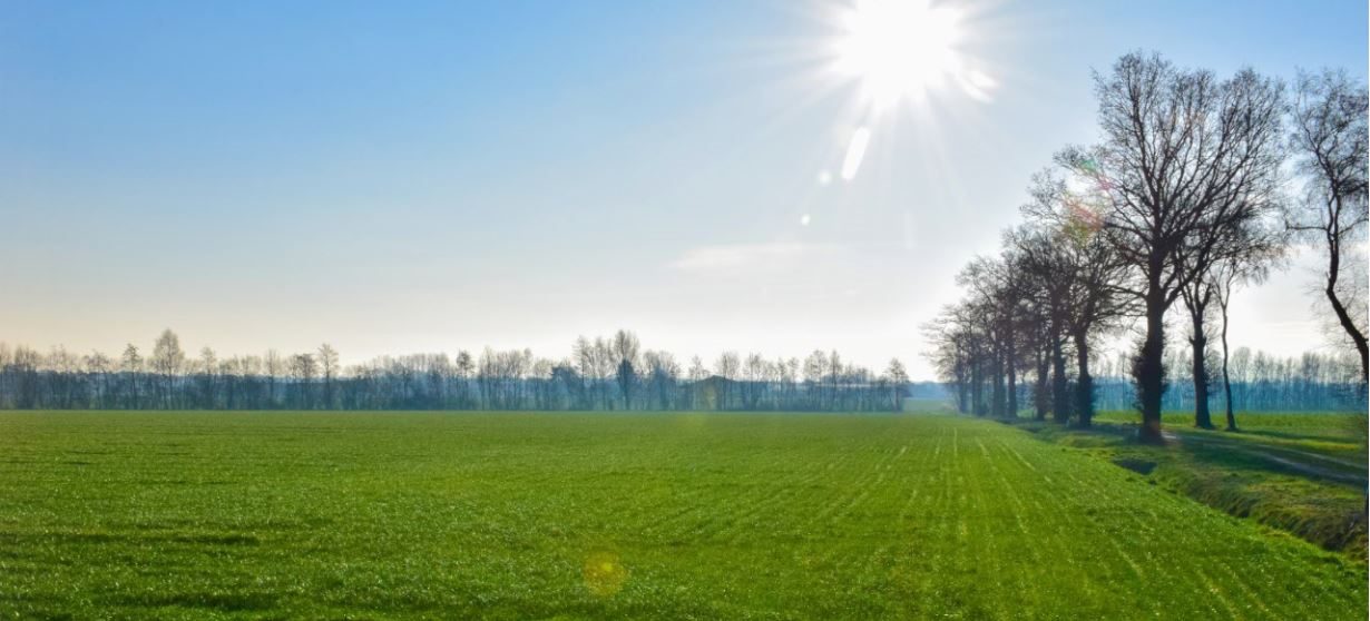 Een groen veld onder een stralend blauwe lentehemel, omzoomd door nog kale bomen..