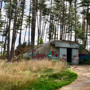 Foto van verlaten bunker op het militair domein van Arendonk