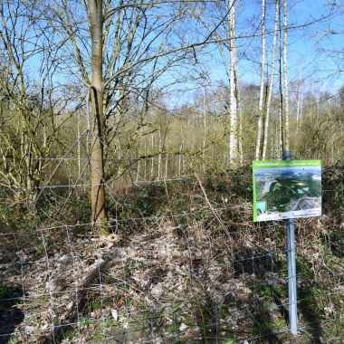 Op sommige plaatsen is het stort onder de Kleiputten Terhagen zichtbaar