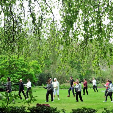 Groep deelnemers aan de cursus tai chi op het grote gazon tussen de groene borders van Arboretum Kalmthout