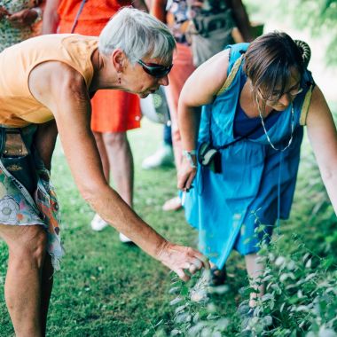 Twee vrouwen buigen voorover en voelen aan enkele planten in de groene borders van Arboretum Kalmthout, rondleiding door een gids tijdens de zomerse kookworkshop Bloemen op je bord.