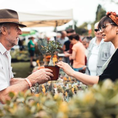 Plantendag 2018