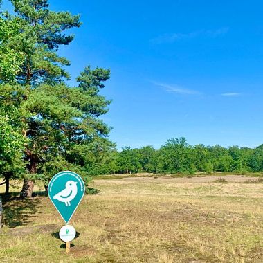 Groenzoeker Kesselse Heide