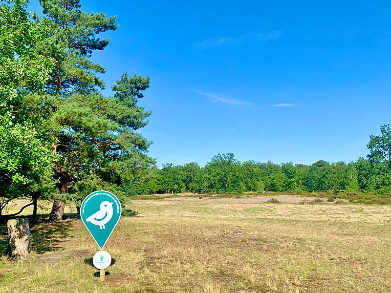 Groenzoeker Kesselse Heide