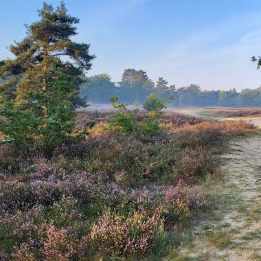 Kesselse heide_bosbaden_zandpad_H_BartMoons