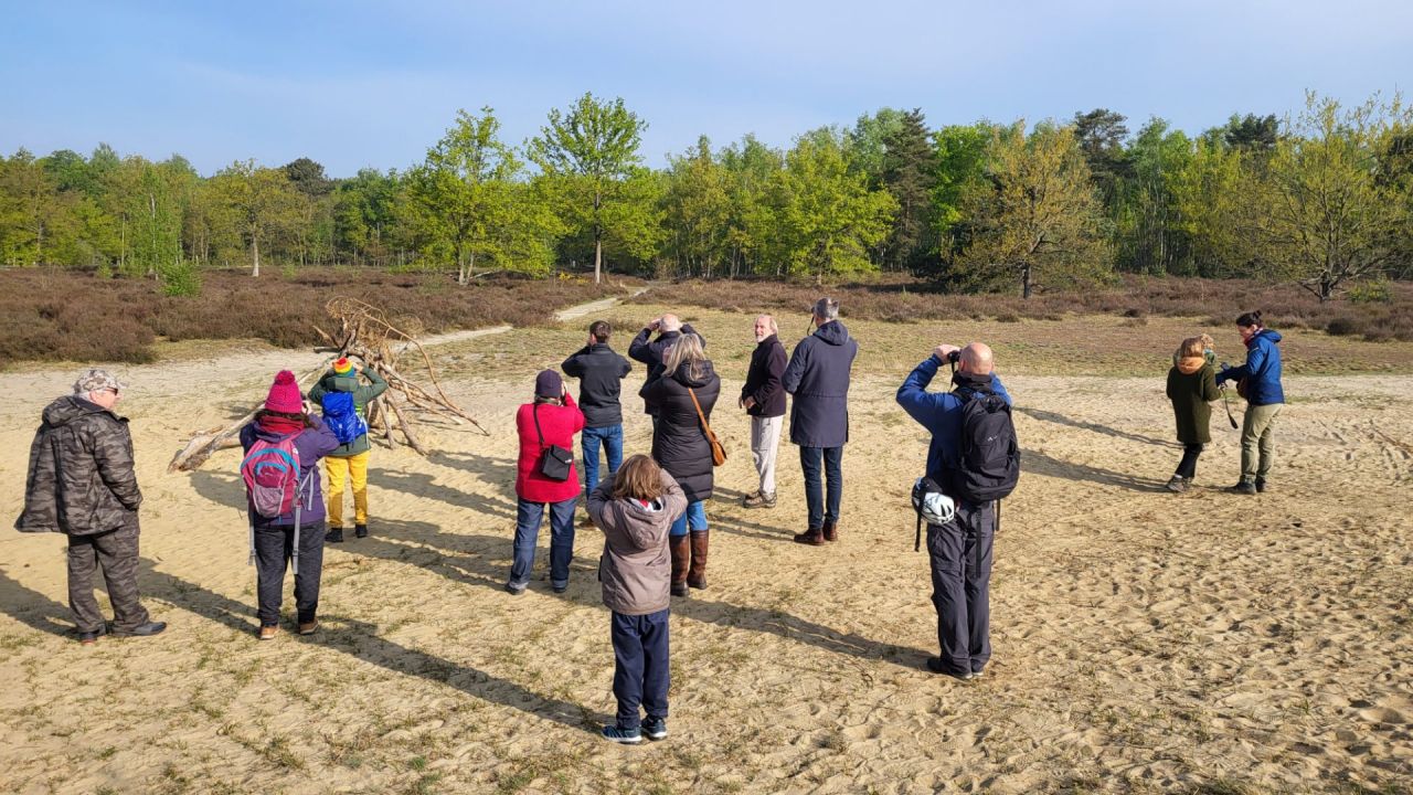 Vroegevogelwandeling