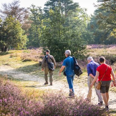 Kesselseheide_Heidewandeling_H