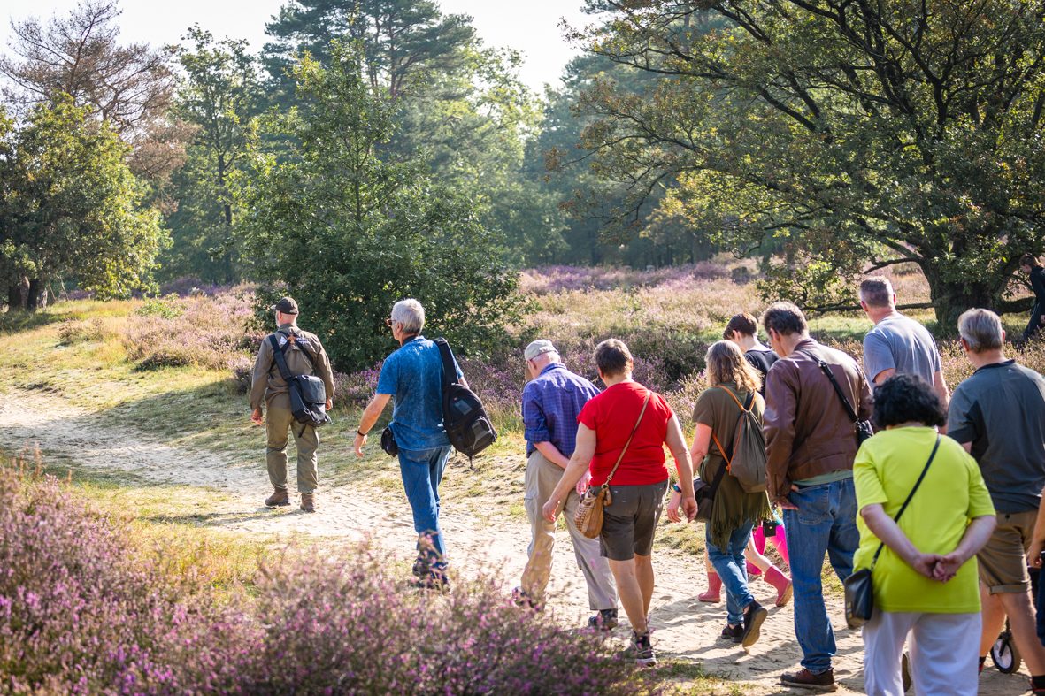 Kesselseheide_Heidewandeling_H