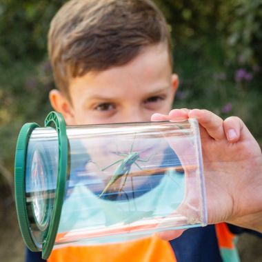 Insecten vergrootglas